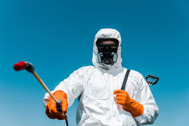 Real Estate Pest Inspections in Adelphi, MD